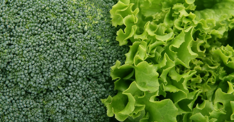 Close up of green vegetables.