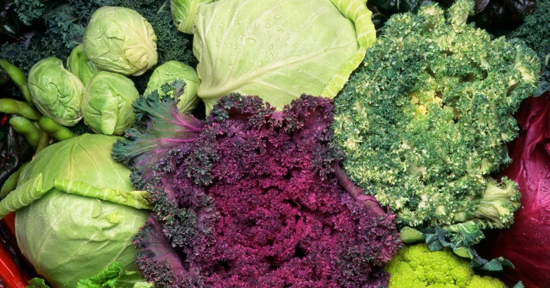 A variety of cruciferous vegetables