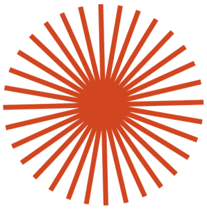 ECU_INR_brand_assets_icons_carrot 7